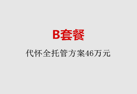 南通B套餐：代怀全托管方案46万元